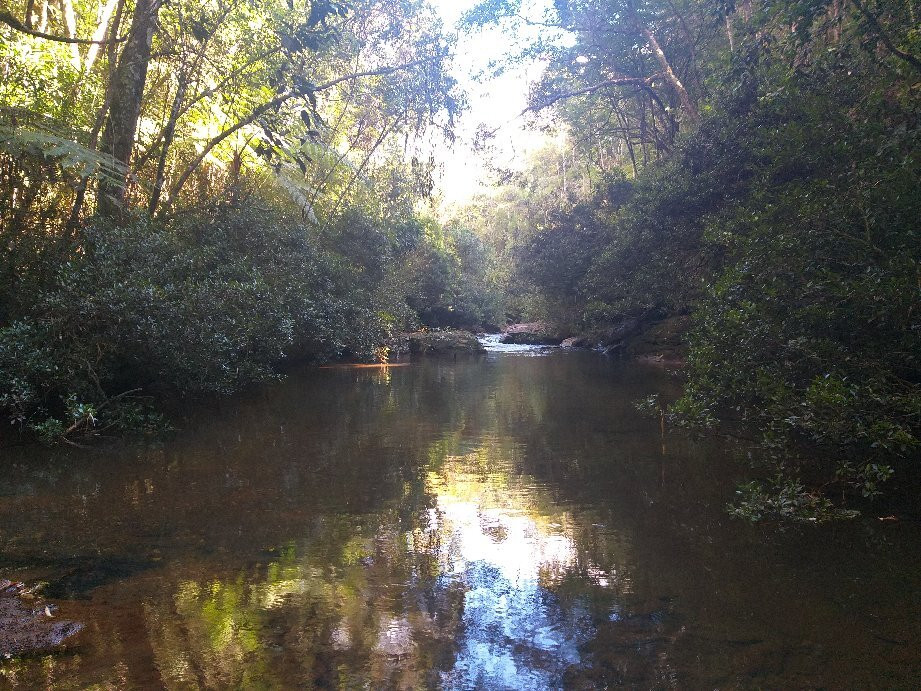 Parque Natural Municipal das Andorinhas-欧鲁普雷图必去景点