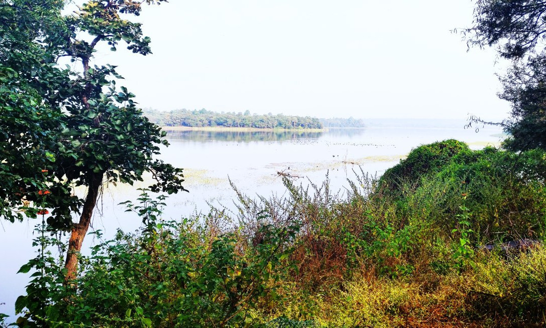 Gorewada Lake景点图片