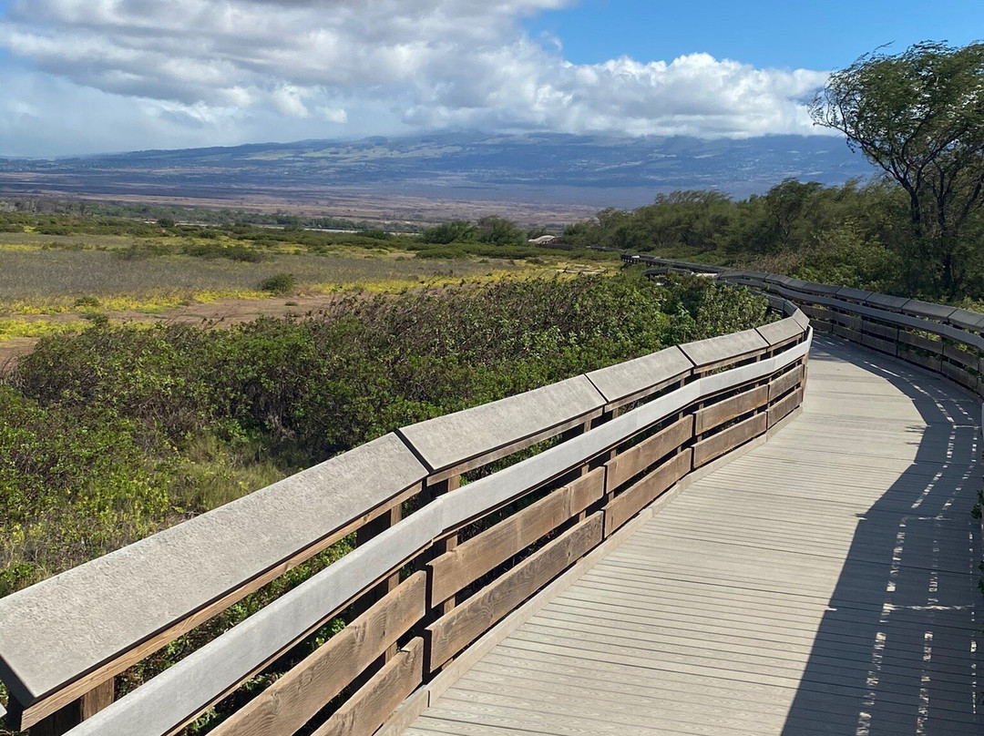 Kealia Coastal Boardwalk-基黑必去景点