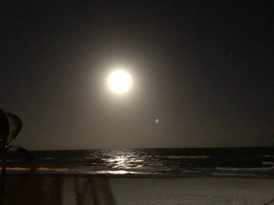 曼塔雷汽车旅馆主图