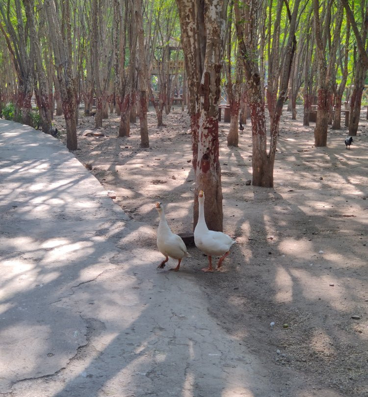 Aaram Baagh Resort主图