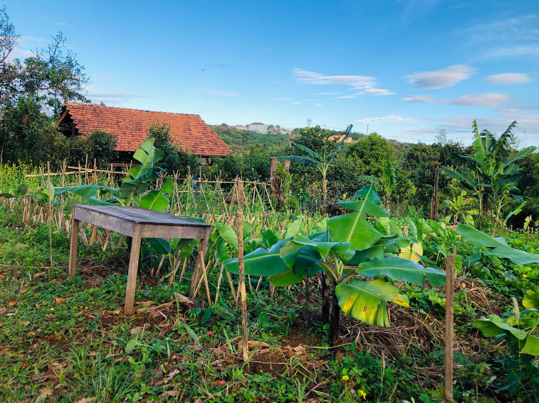 Đak Nong Eco Farm-Gia Nghia必去景点