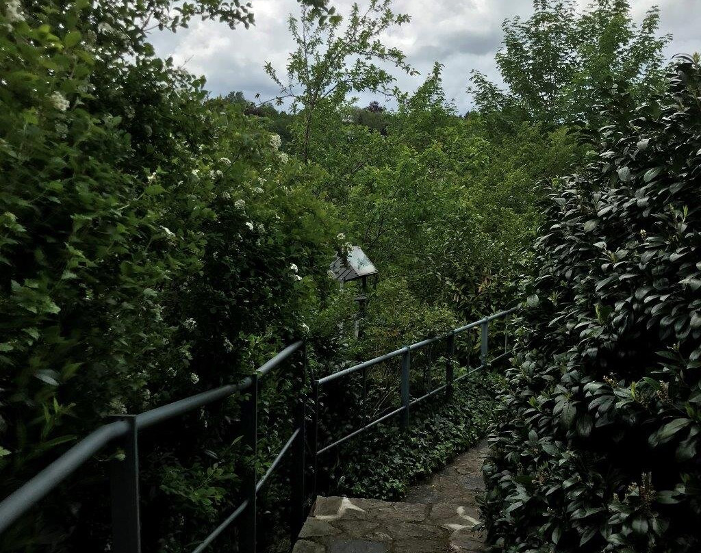 Schlossgarten景点图片