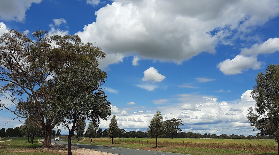 Rutherglen to Wahgunyah Rail Trail景点图片