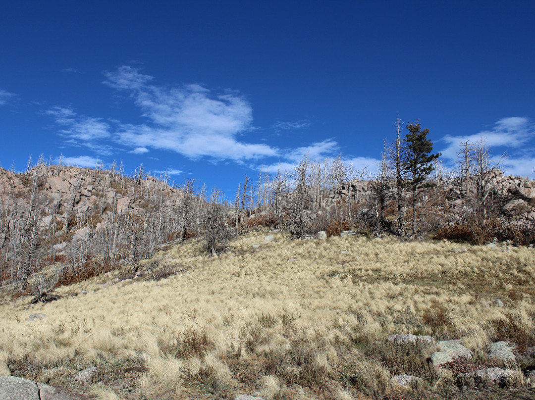 Monjeau Lookout-Lincoln必去景点