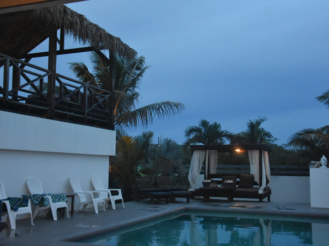 Hakuna Matata Bonaire - Beach & Diving主图