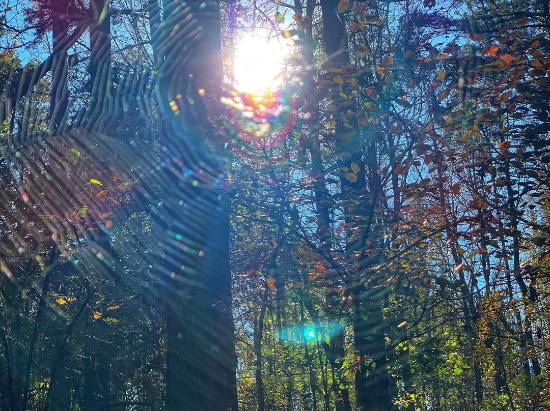 Stevens Creek Nature Center And Nature Preserve景点图片