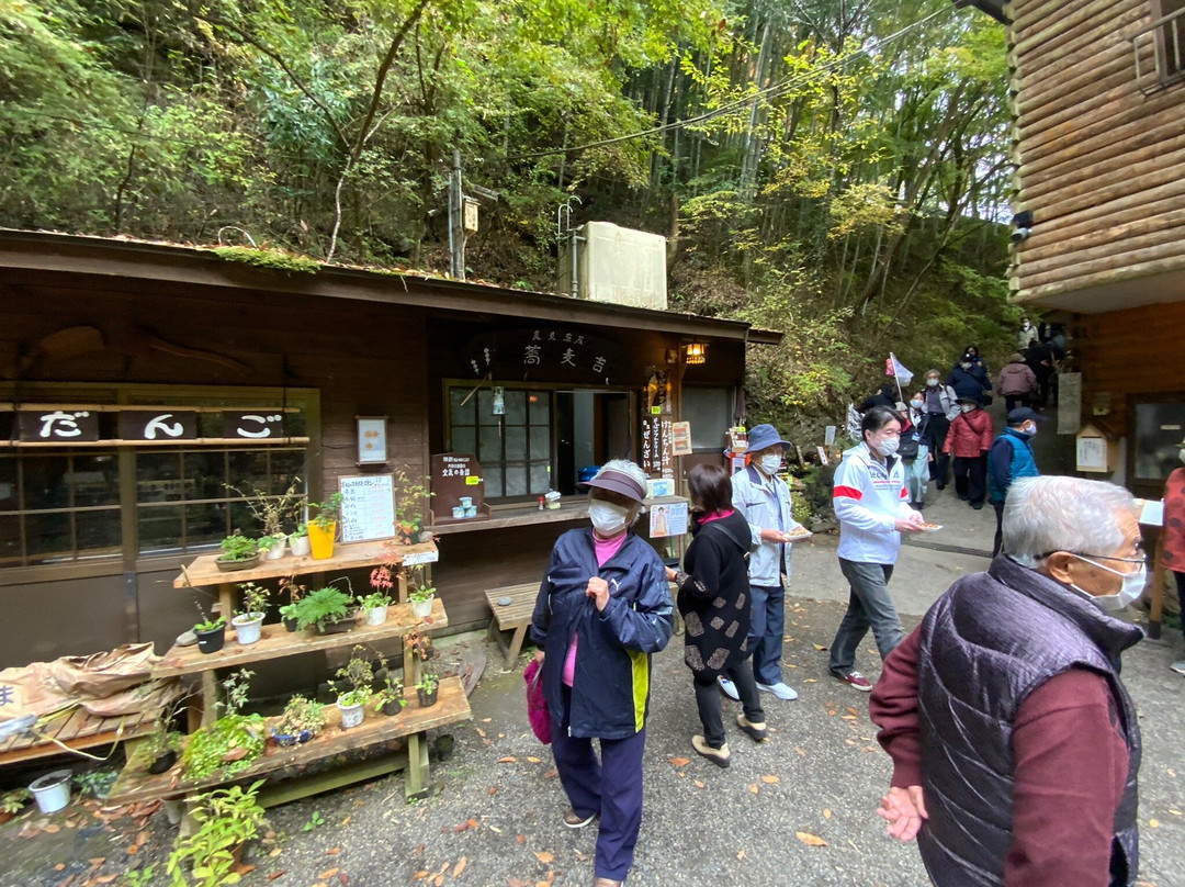 Tsukimachi Waterfall-大子町必去景点