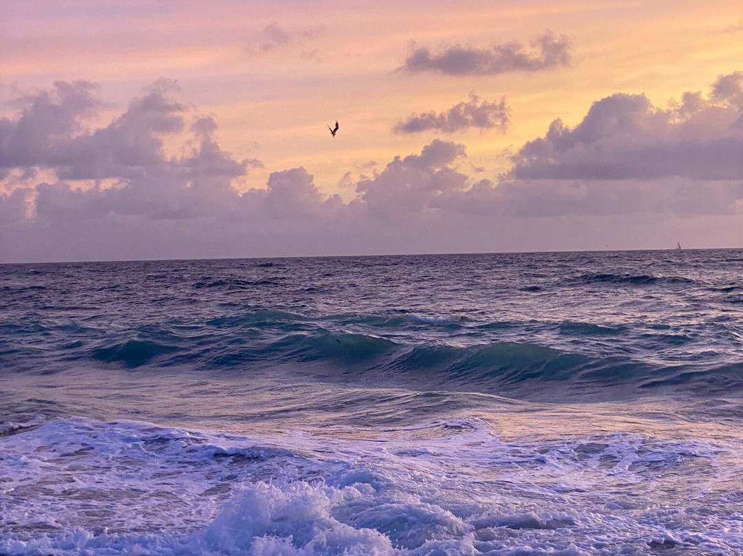 Juno Beach Park-朱诺海滩必去景点