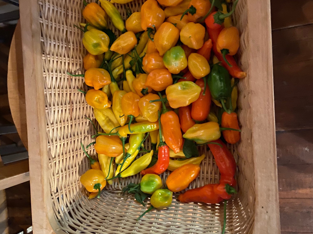 Edible Ornamentals-Chawston必去景点