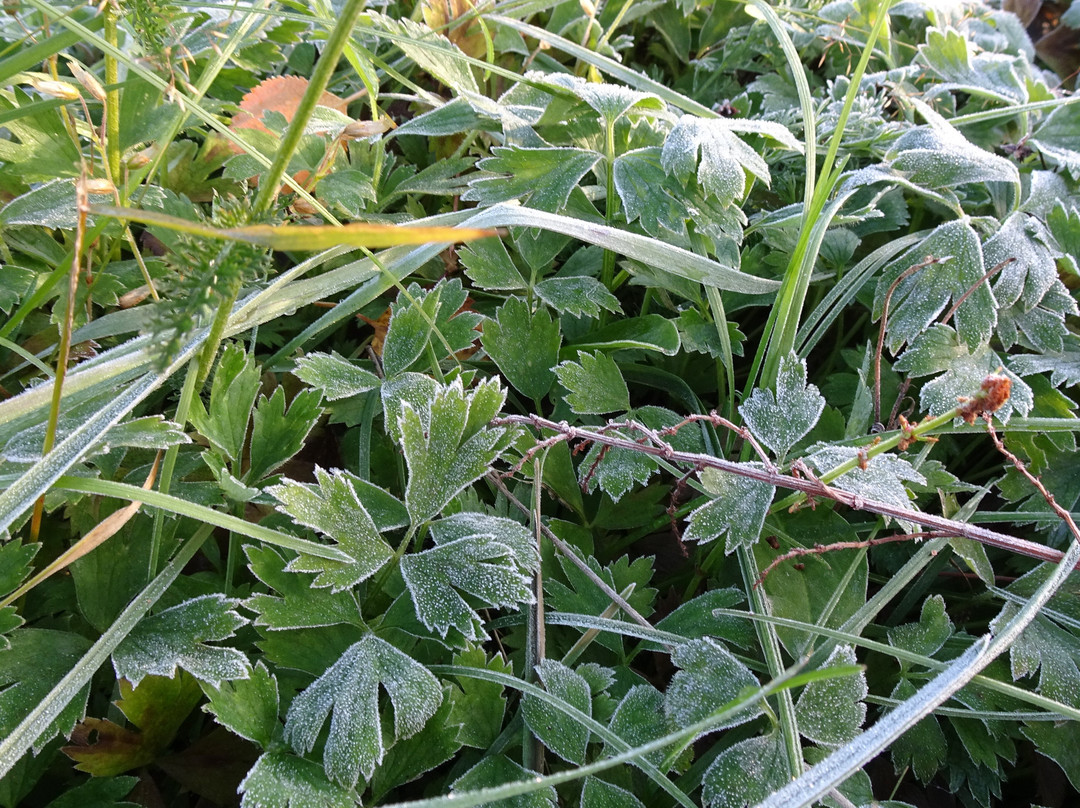 Skiippagurra旅游攻略图片