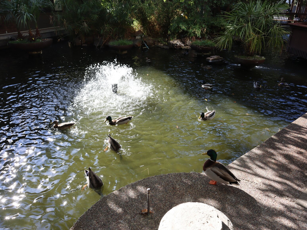 黛娜花园酒店主图