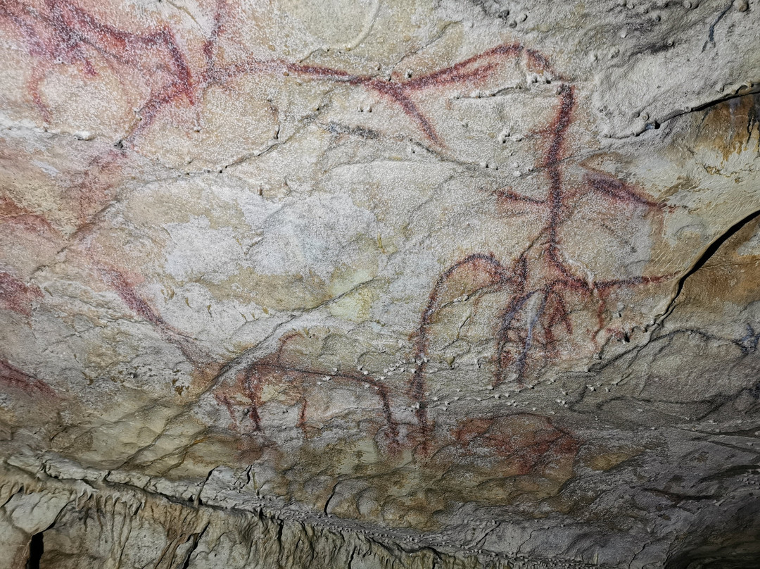 Grottes d'Arcy-sur-Cure-Arcy-sur-Cure必去景点