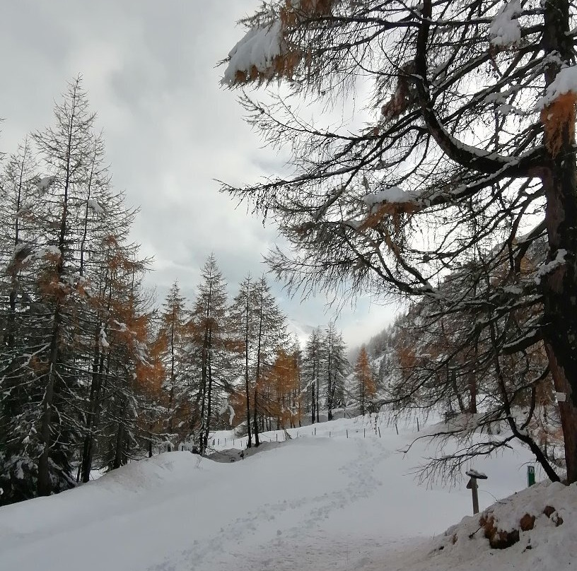 Nationalpark Hohe Tauern景点图片