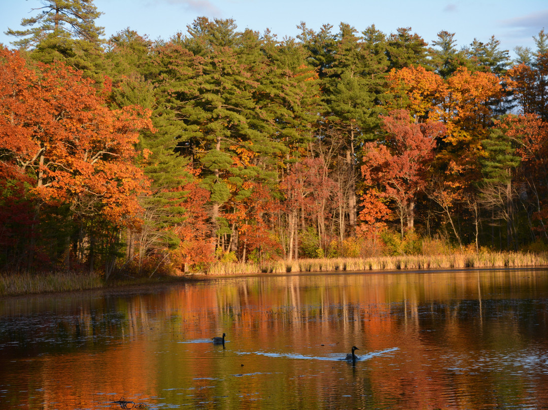 Livingston Park-曼彻斯特必去景点