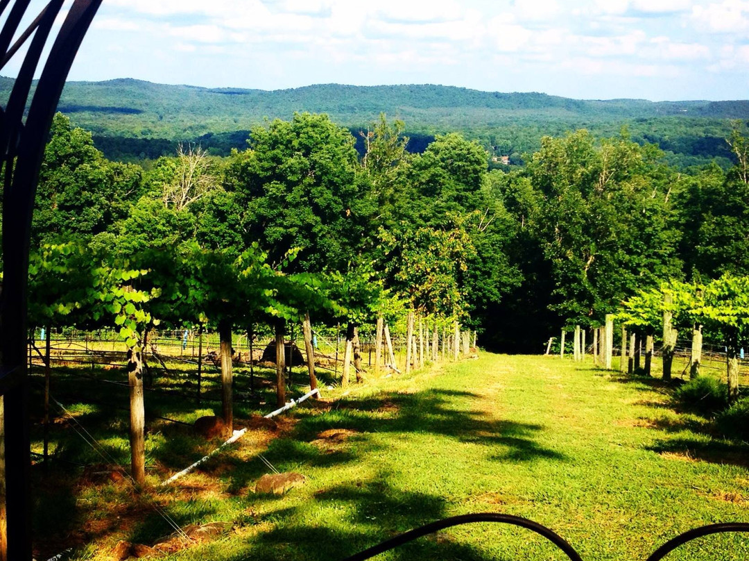 Stony Mountain Vineyards景点图片