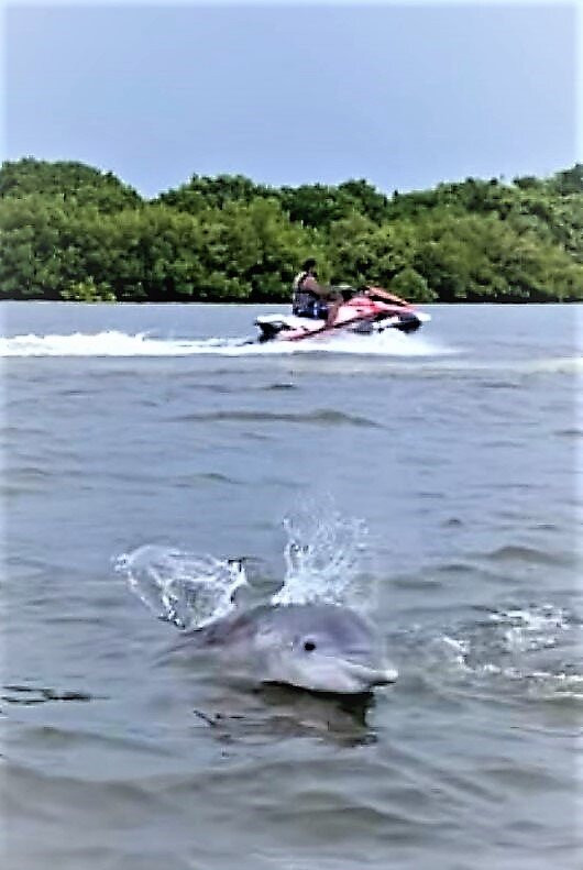 Siesta Key Jet Ski-西耶斯塔岛必去景点