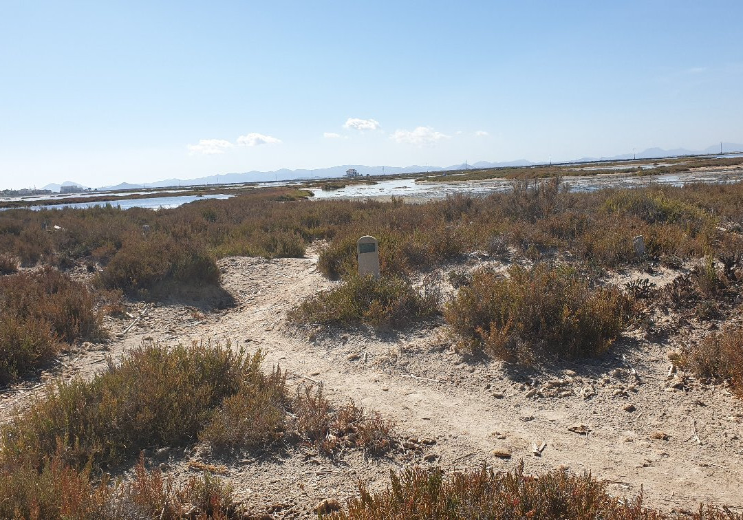 Paraje de Las Salinas-San Pedro del Pinatar必去景点