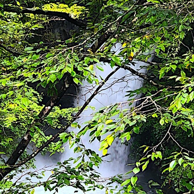 Kusagyu Otaki-鹿沼市必去景点