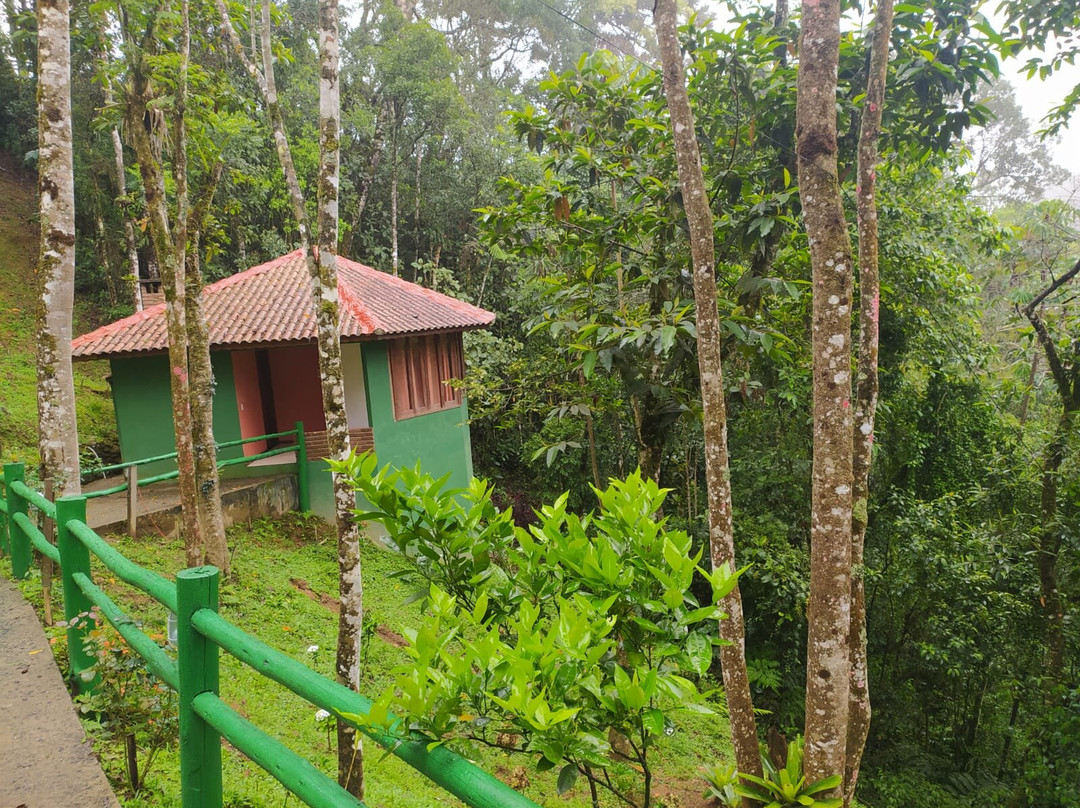 Pousada Di Stefano主图