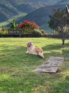 Monte Gracia Wellness Hotel & Spa主图