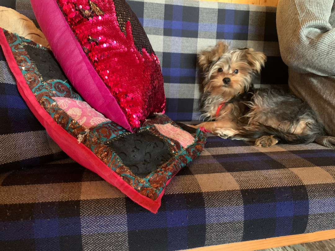 The Press House BnB主图