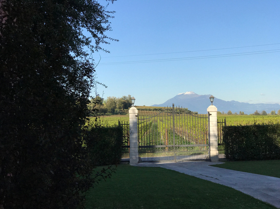 Agriturismo Feliciana主图