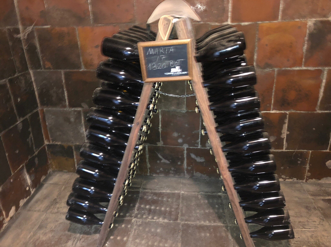 Torre del Veguer-Sant Pere de Ribes必去景点