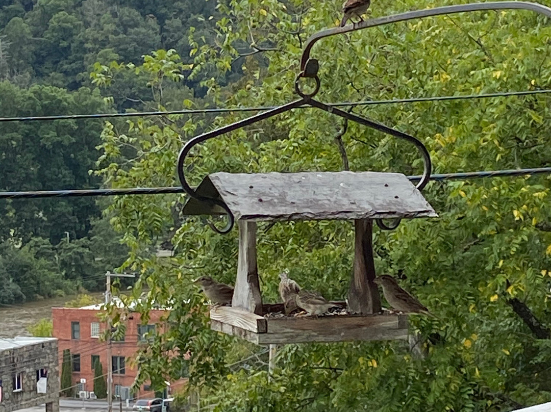 Marshall House Inn主图