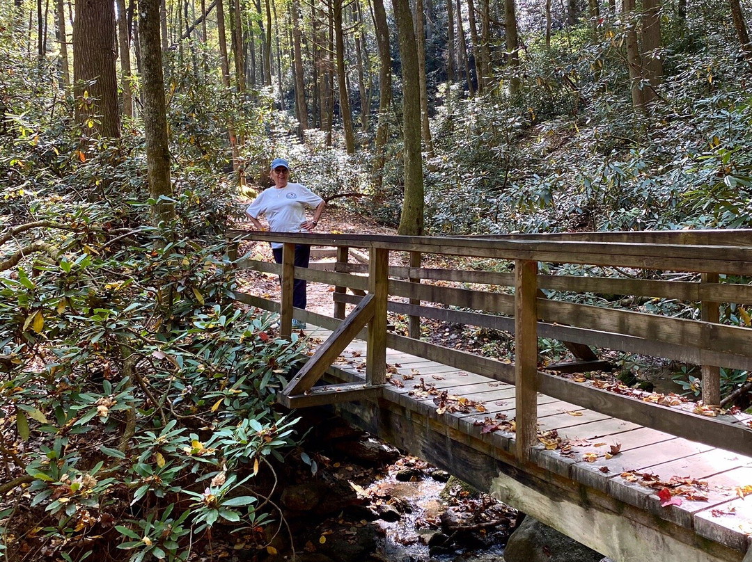 Hutchinson Homestead-Roaring Gap必去景点