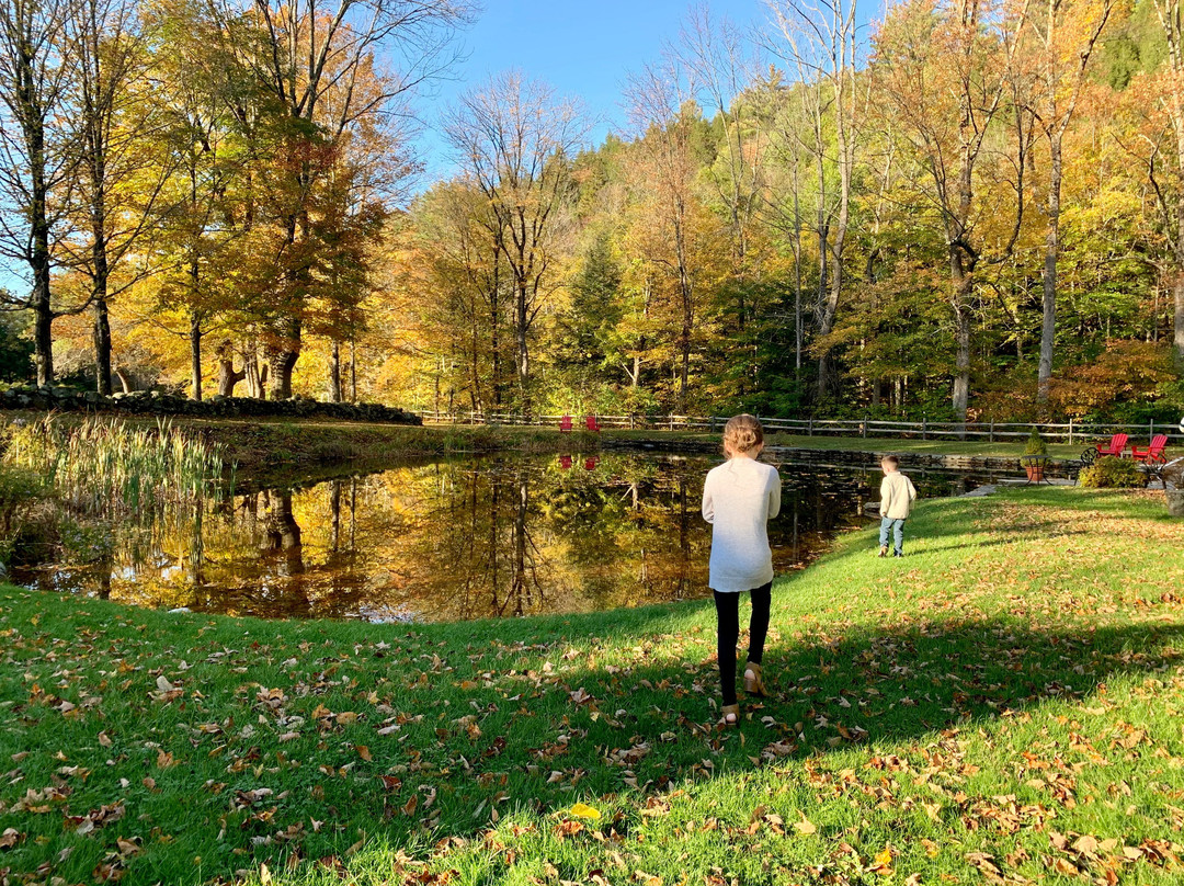 格拉夫顿酒店主图