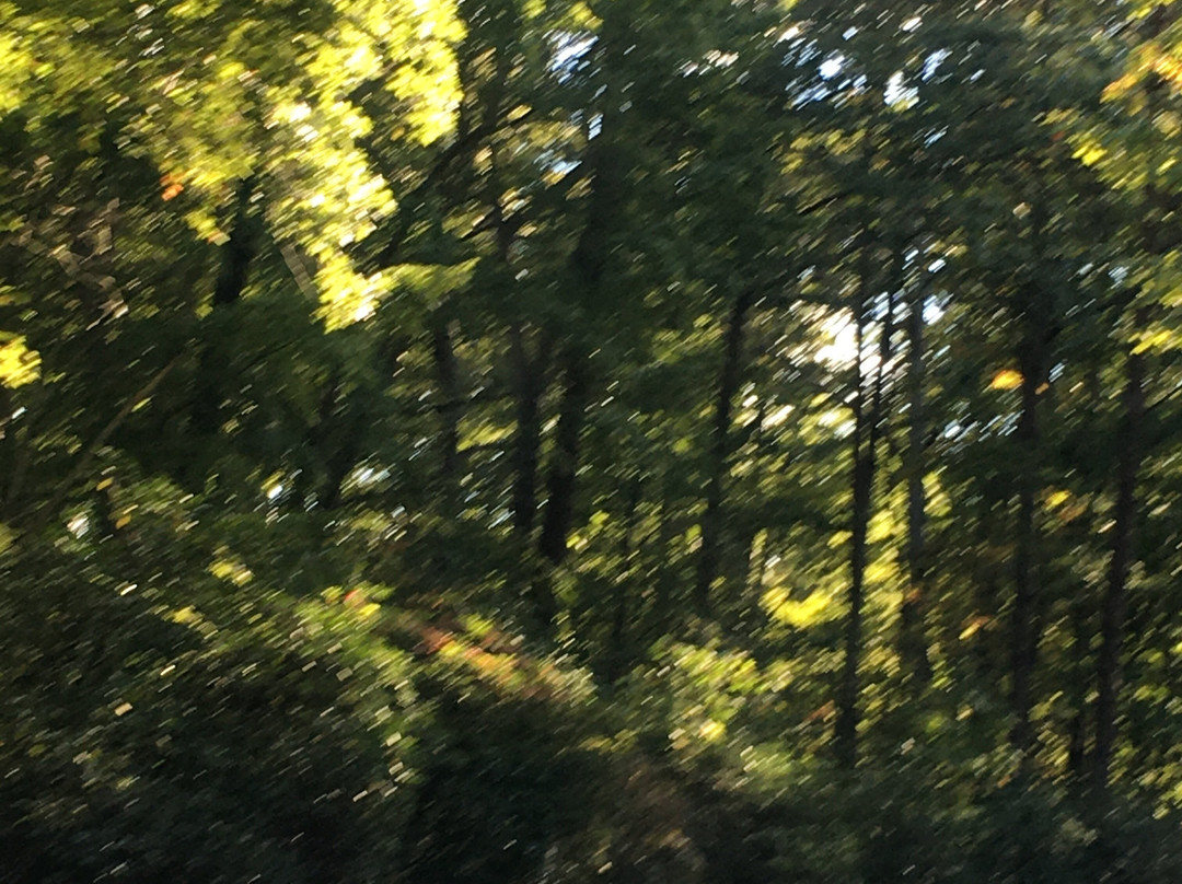 George Mason's Gunston Hall-Mason Neck必去景点