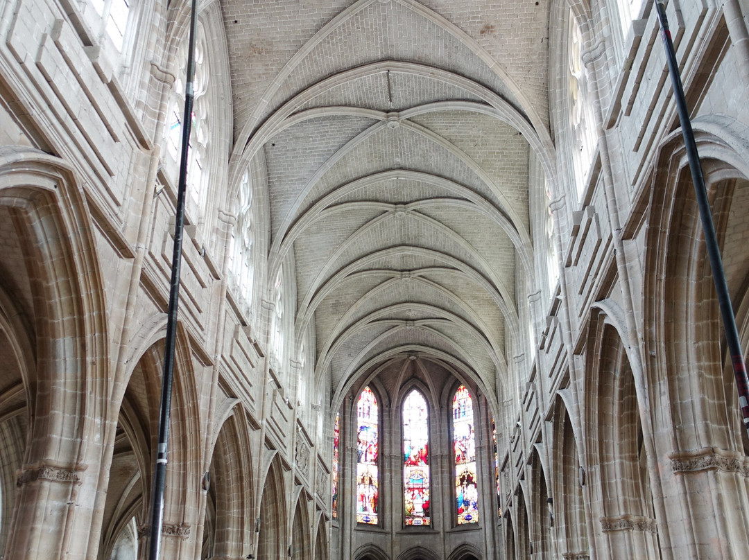 Cathédrale Saint-Louis-布洛瓦必去景点