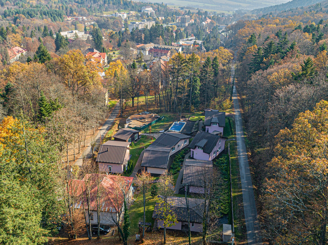 Apart-club Zora主图