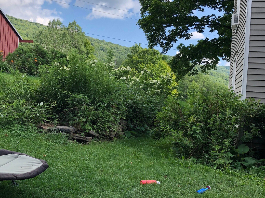 Scudder Hill House Bed & Breakfast主图