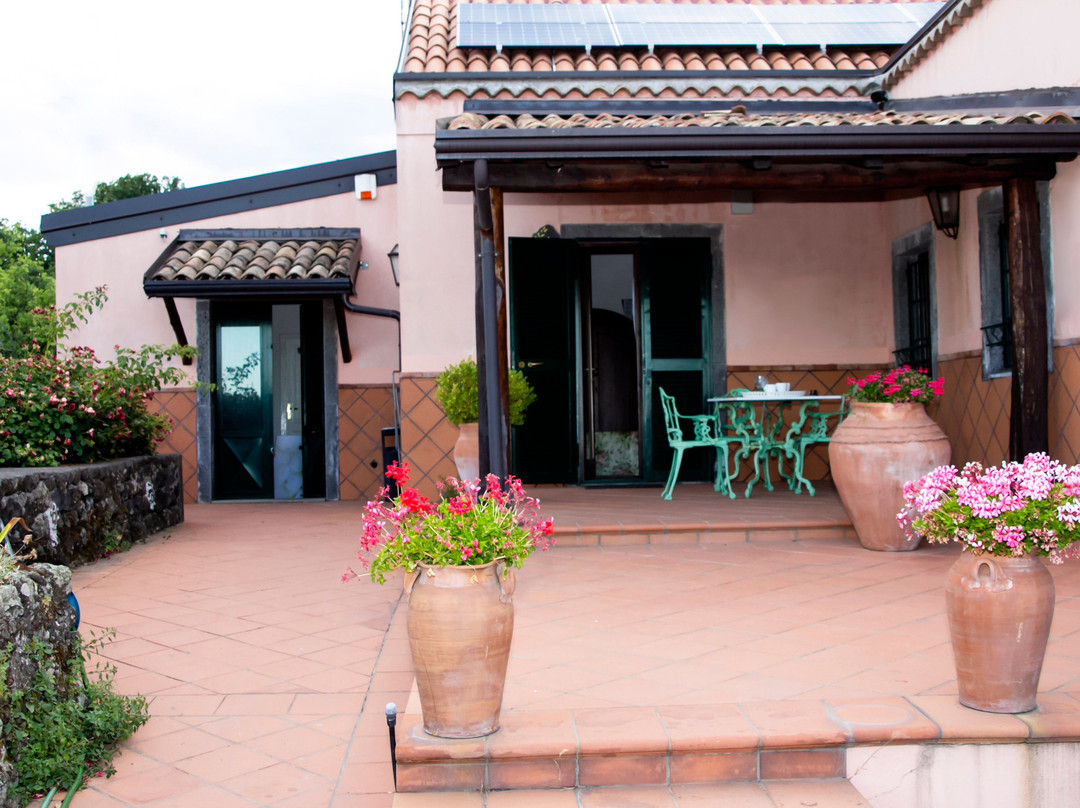 Le Case Del Merlo Turismo Rurale主图