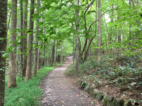 Settles Bridge Park-苏万尼必去景点