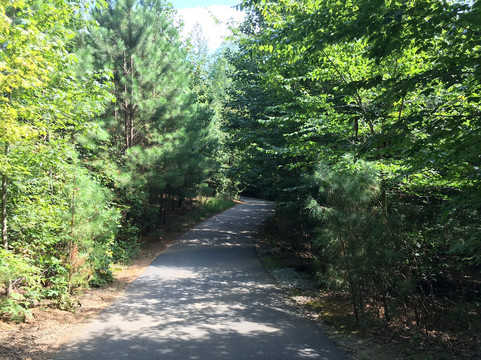 Peachtree Ridge Park-苏万尼必去景点