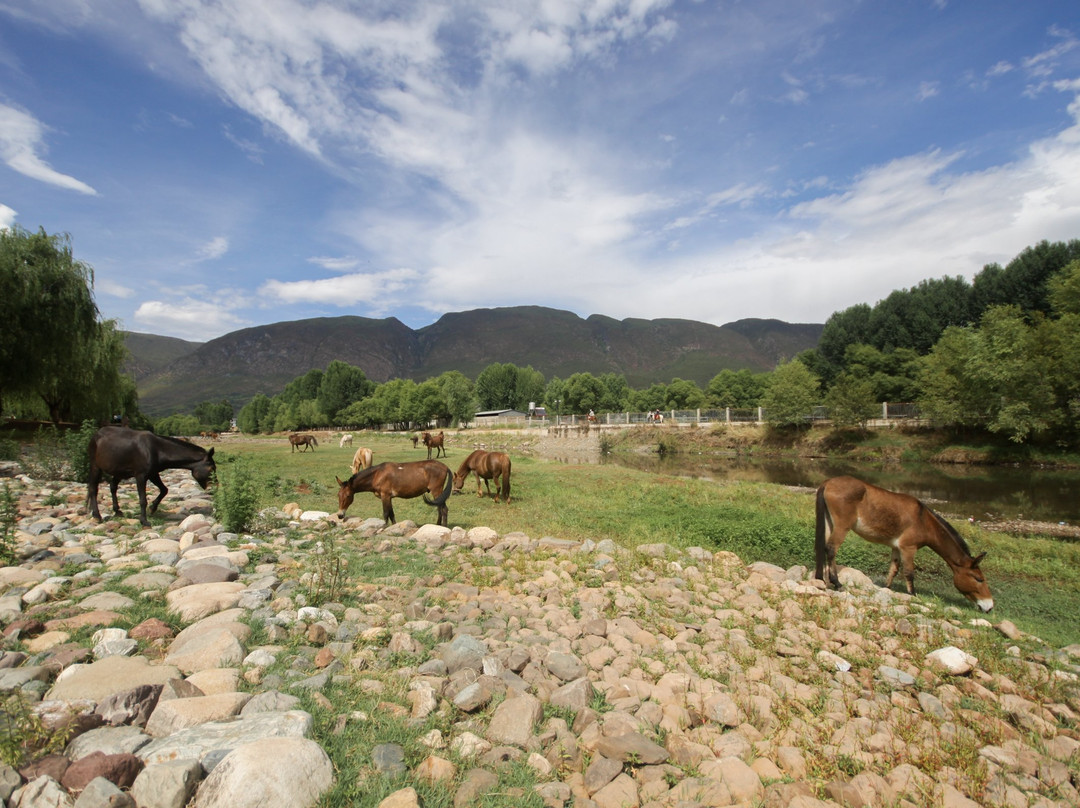 茶马古道-丽江市必去景点
