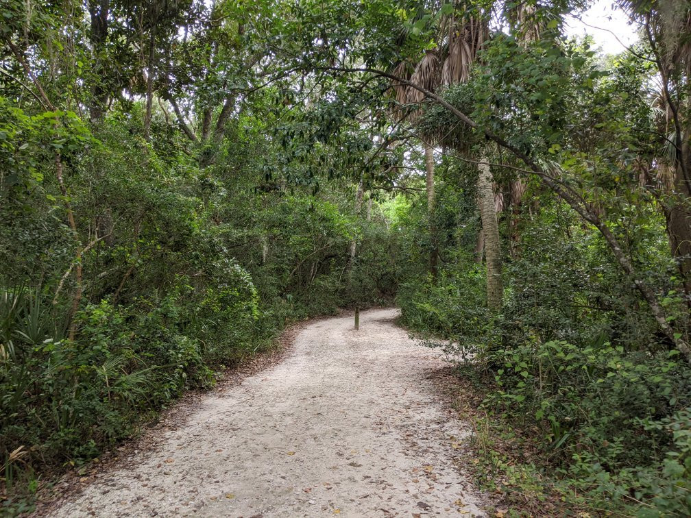 Edisto Beach State Park景点图片