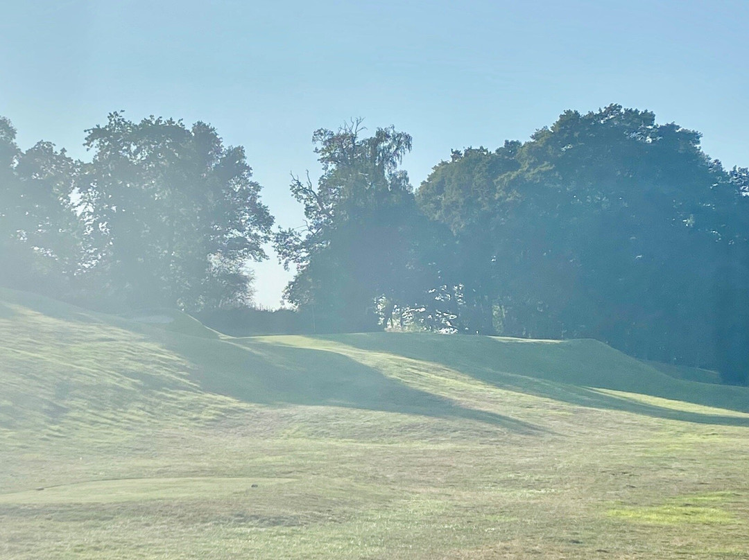 Betchworth Park Golf Club景点图片