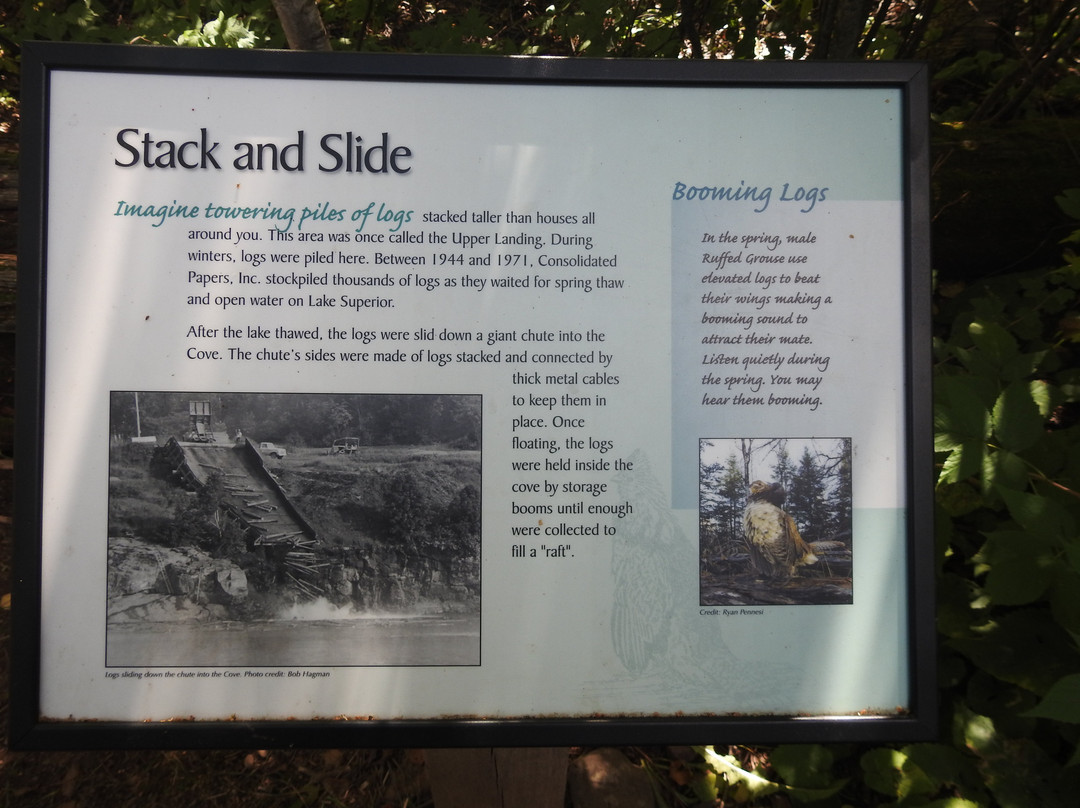 Sugarloaf Cove Nature Center-Schroeder必去景点