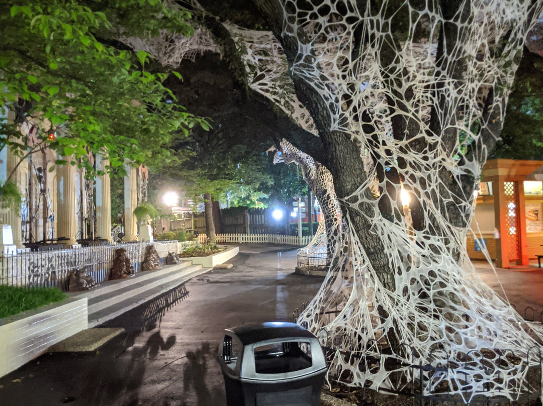 六面旗降临德克萨斯-阿灵顿必去景点