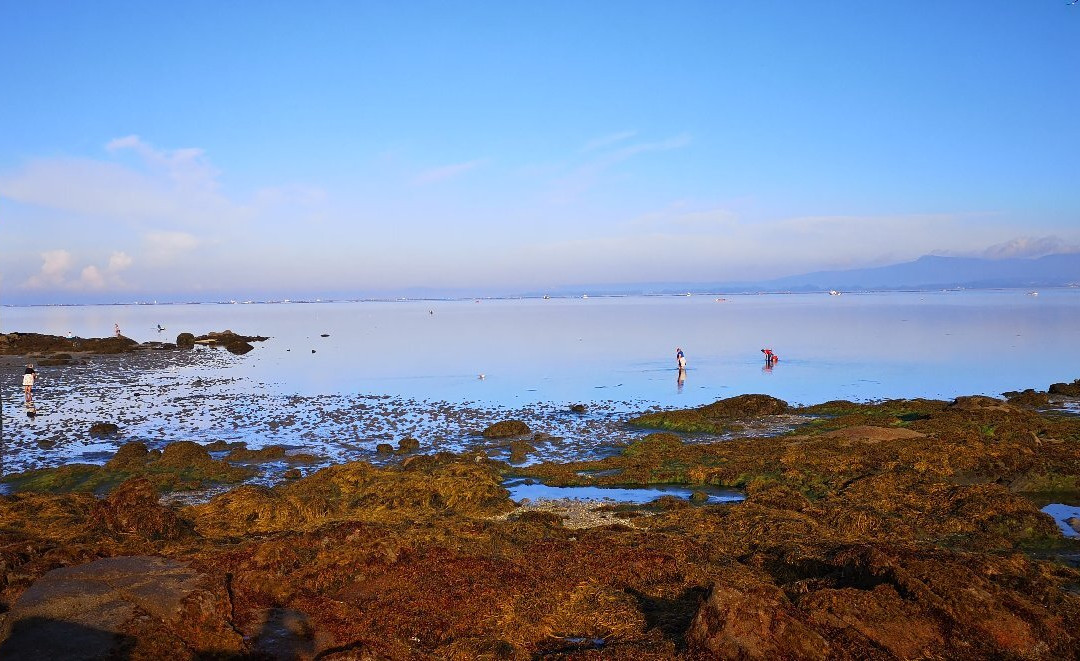 Bluscus Turismo Marinero-比戈必去景点