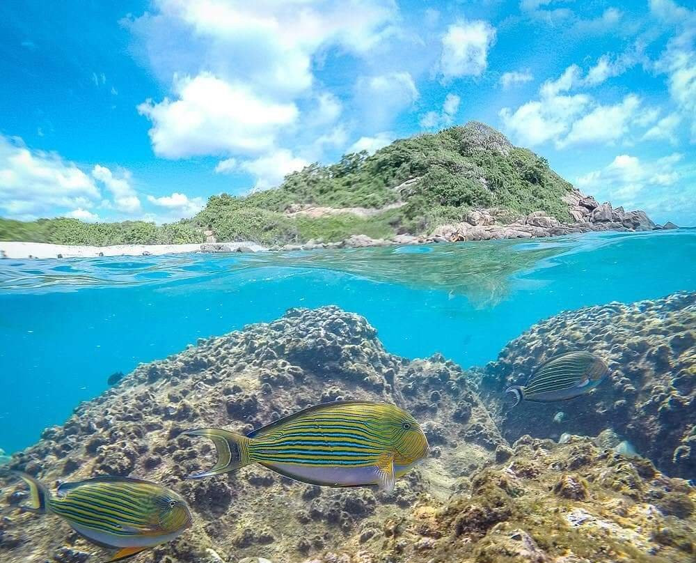 Pigeon Island National Park景点图片