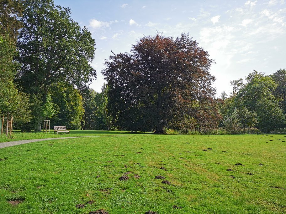 Stiftung Schlosspark Pansevitz景点图片