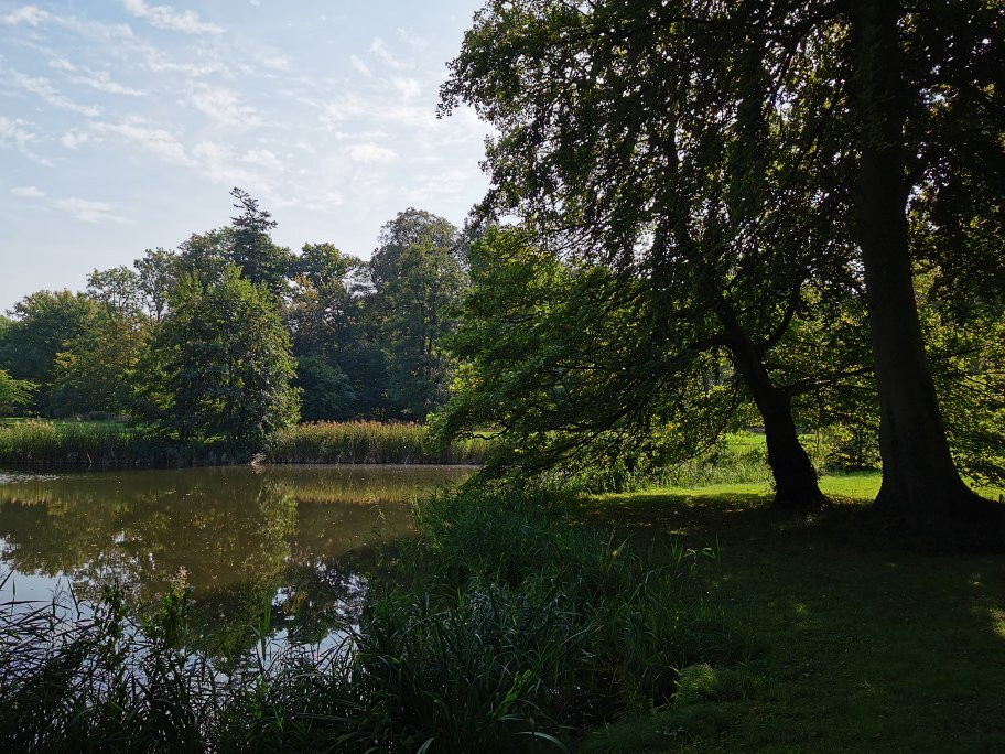 Stiftung Schlosspark Pansevitz景点图片