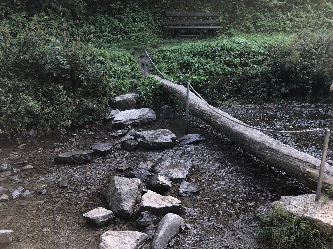 Spielplatz Walkenmuehle-Schmallenberg必去景点