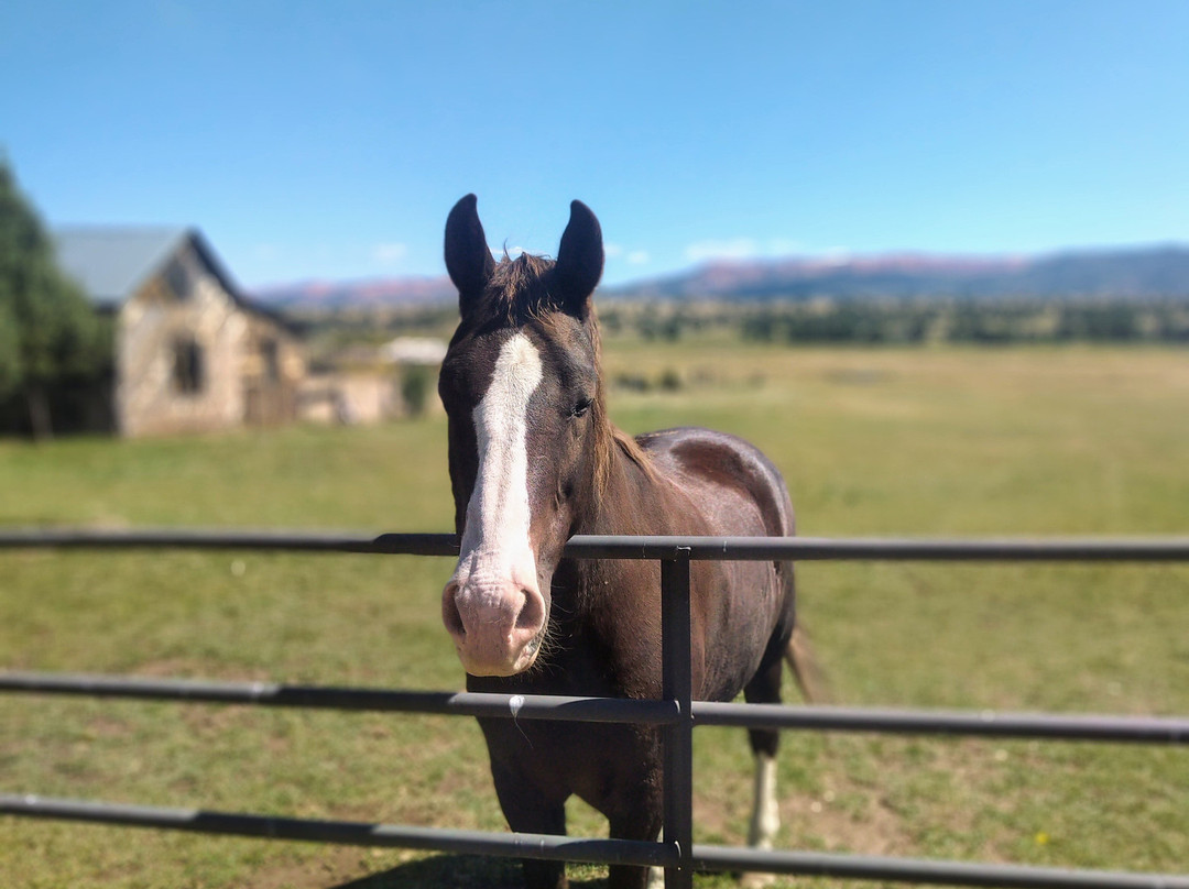 布莱斯峡谷哈奇站汽车旅馆主图