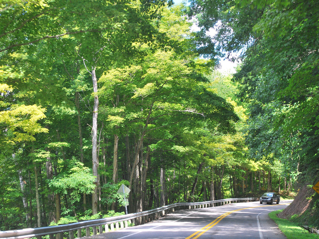Greenbrier River Campground